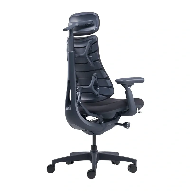 LiberNovo Omni 48 cm Ergonomic Chair (Black)